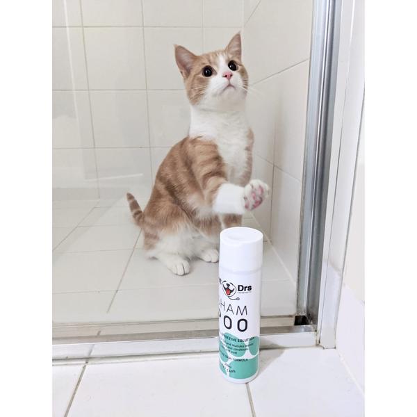 Pet Drs Natural ShamPOO