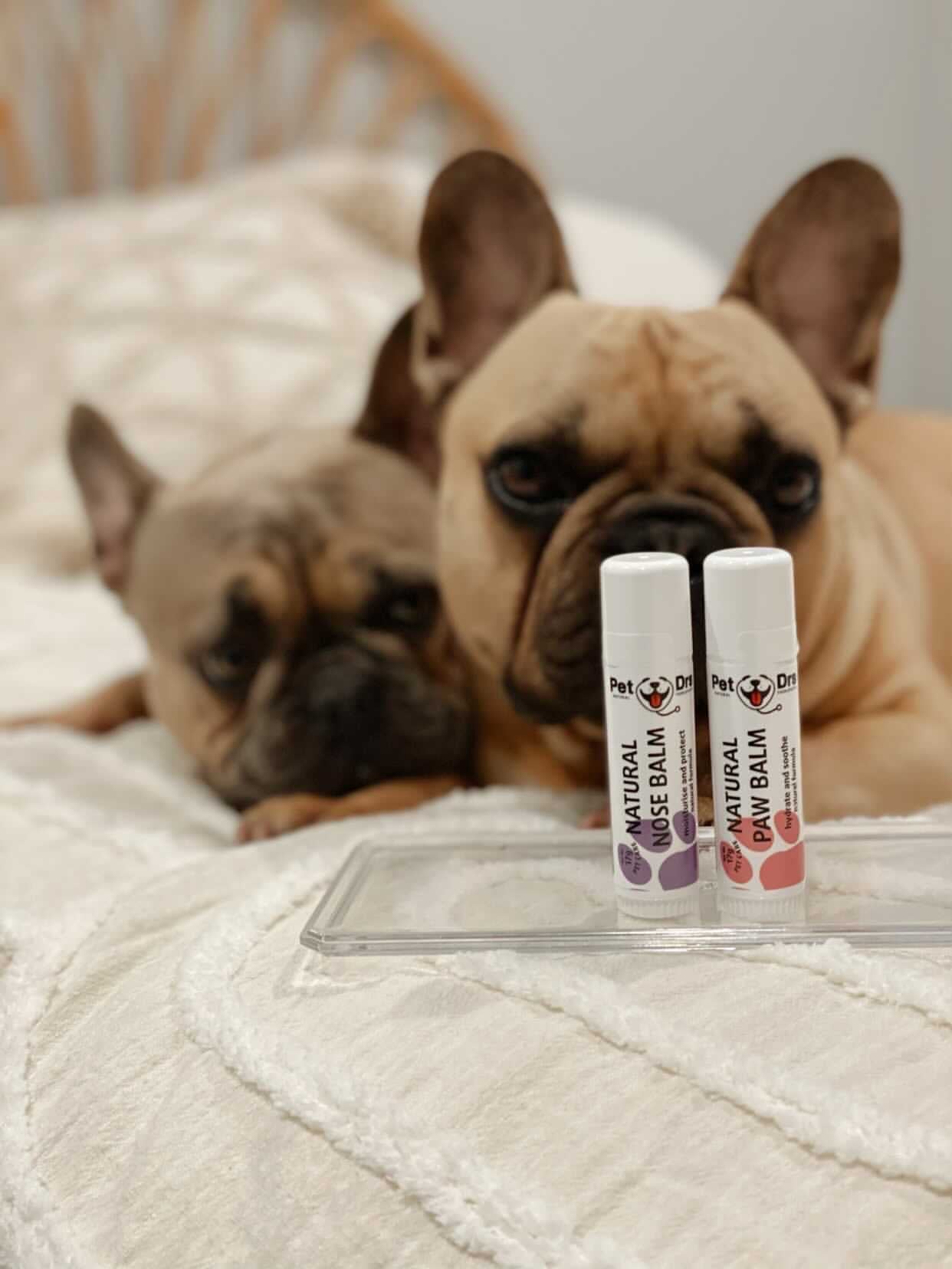 Pet DRS Natural Nose Balm