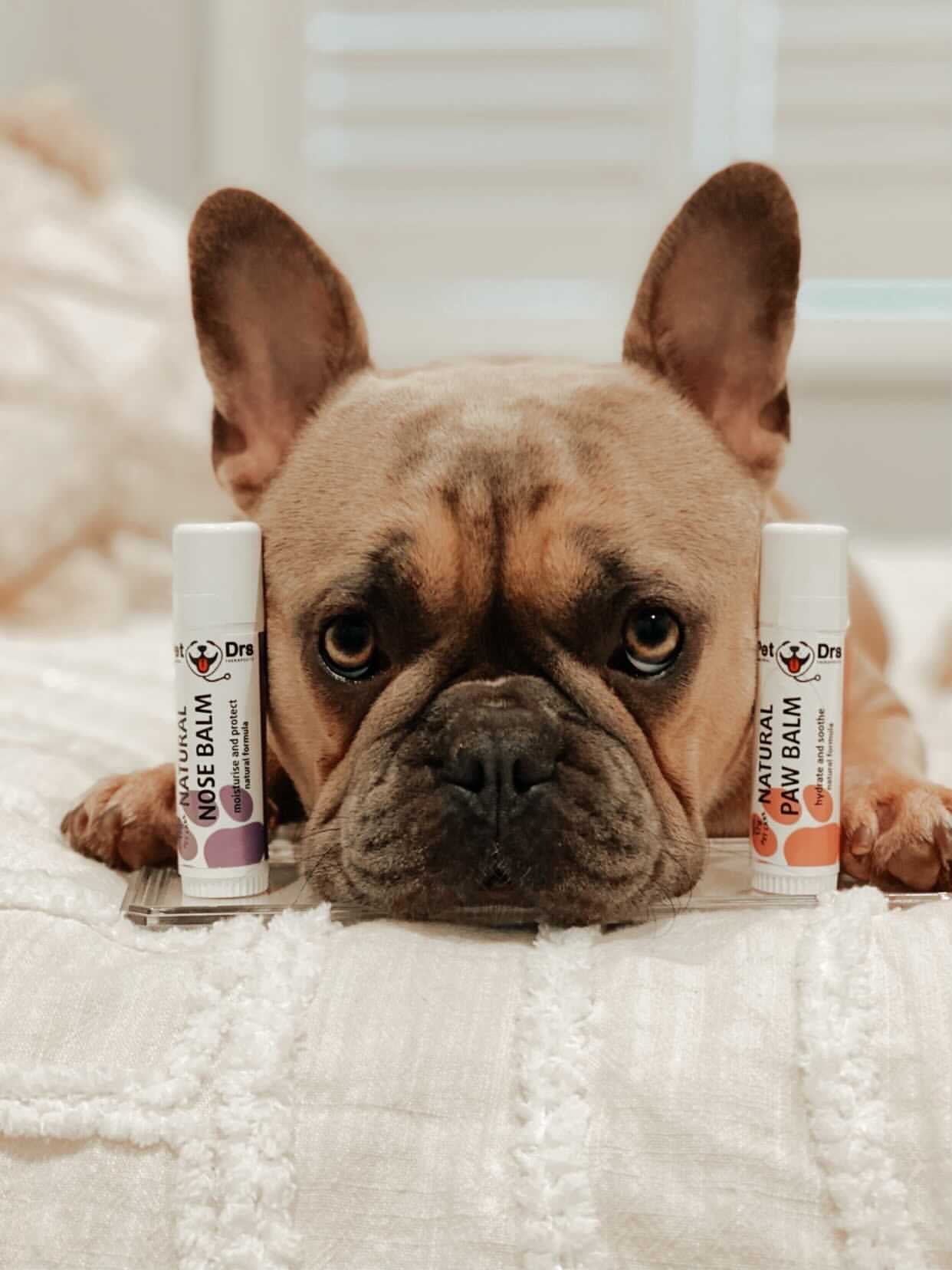 Pet Drs Natural Paw Balm