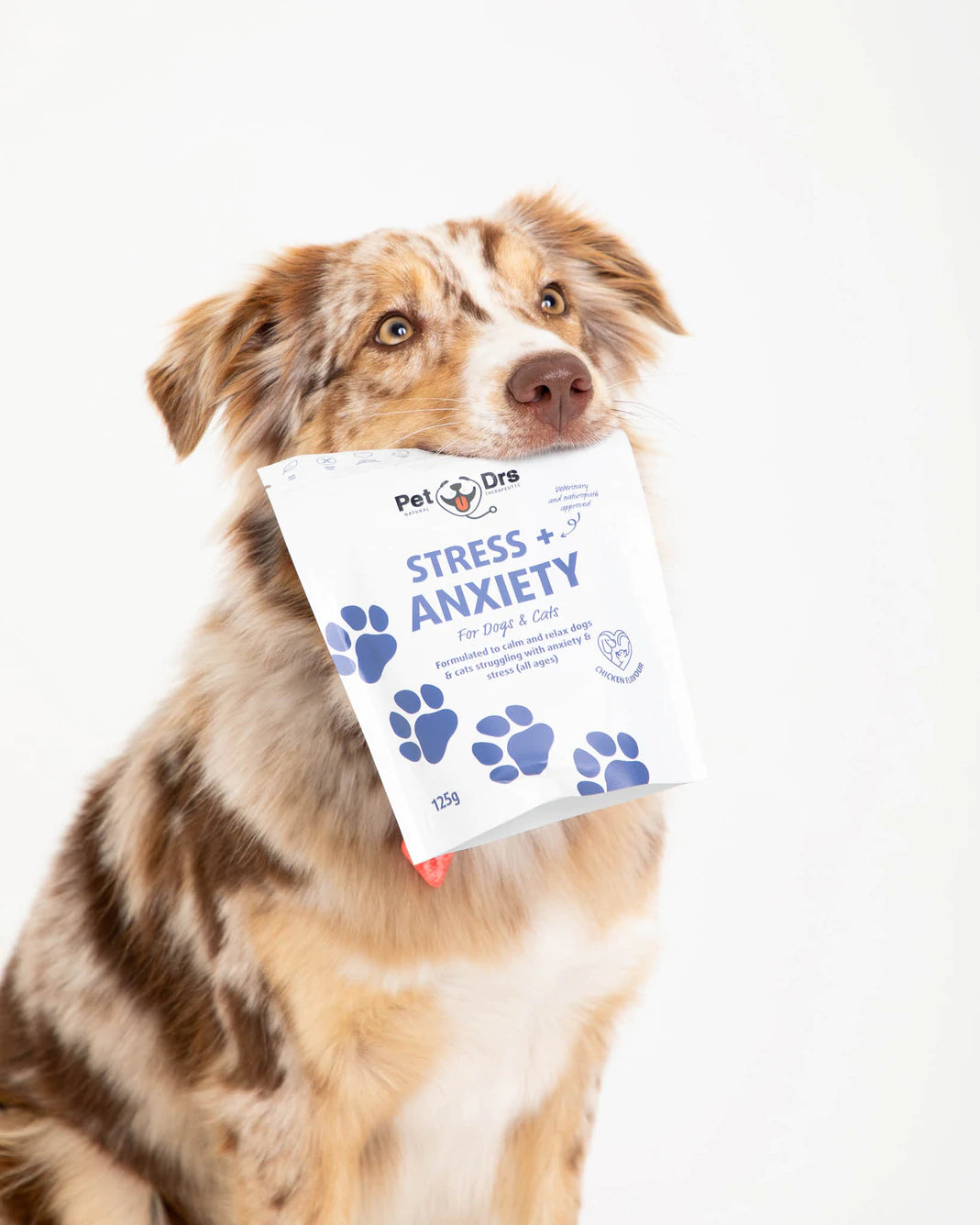 Pet Drs Stress + Anxiety