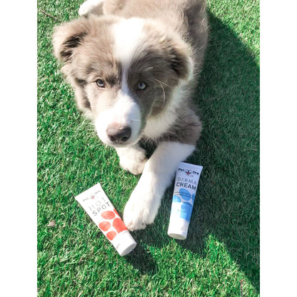 Pet Drs Derma Cream